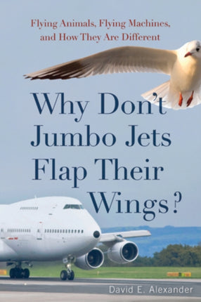 Why Dont Jumbo Jets Flap Their Wings