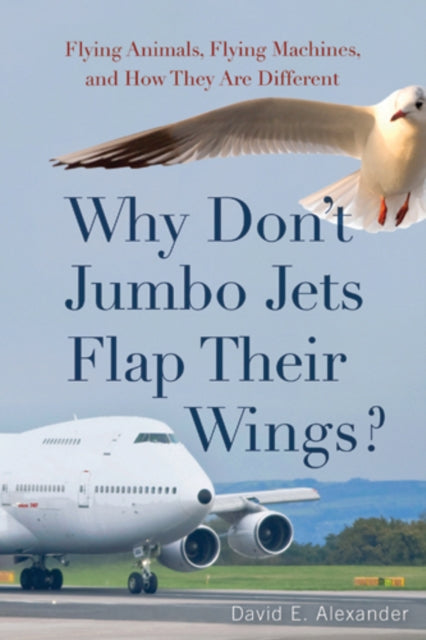 Why Dont Jumbo Jets Flap Their Wings