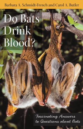 Do Bats Drink Blood Fascinating Answers to