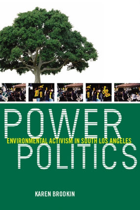 Power Politics Environmental Activism in South Los Angeles