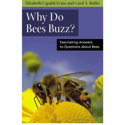 Why Do Bees Buzz?: Fascinating Answers to Questions about Bees