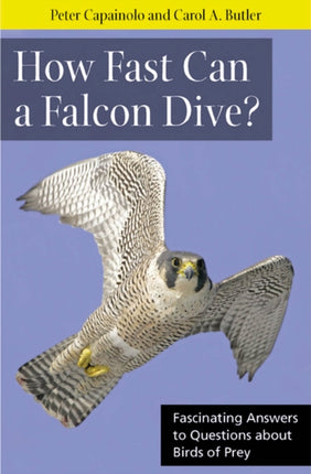 How Fast Can A Falcon Dive?: Fascinating Answers to Questions about Birds of Prey