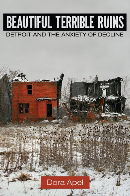 Beautiful Terrible Ruins Detroit and the Anxiety