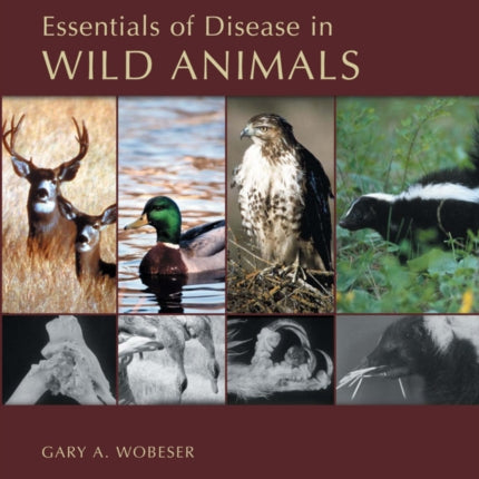 Essentials of Disease in Wild Animals