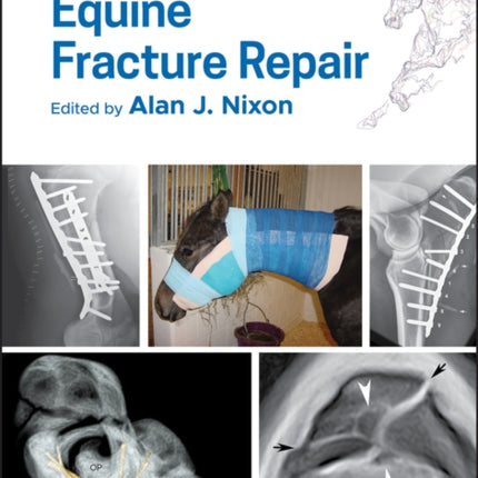 Equine Fracture Repair