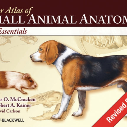 Color Atlas of Small Animal Anatomy: The Essentials