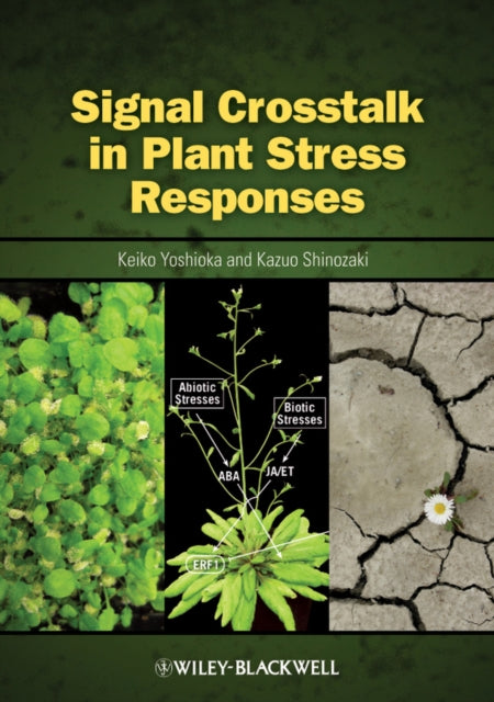 Signal Crosstalk in Plant Stress Responses