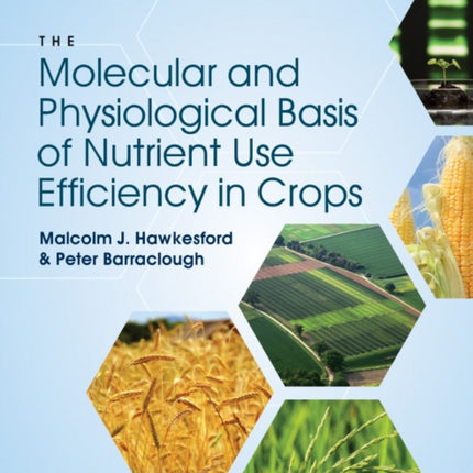 The Molecular Basis of Nutrient Use Efficiency in