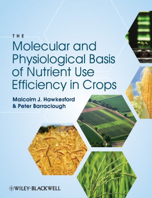 The Molecular Basis of Nutrient Use Efficiency in