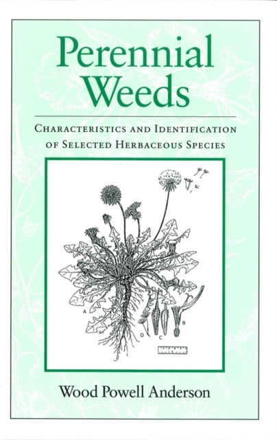 Perennial Weeds: Characteristics and Identification of Selected Herbaceous Species