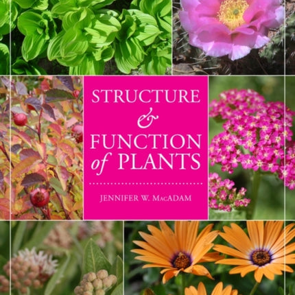 Structure and Function of Plants