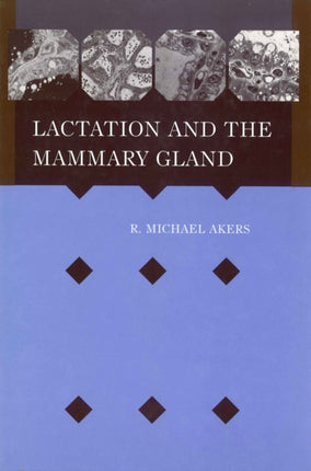 Lactation Mammary Gland