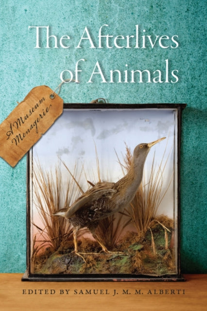 The  Afterlives of Animals  A Museum Menagerie