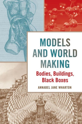 Models and World Making  Bodies Buildings Black