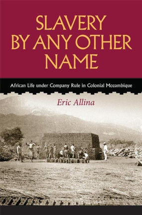 Slavery by Any Other Name  African Life under