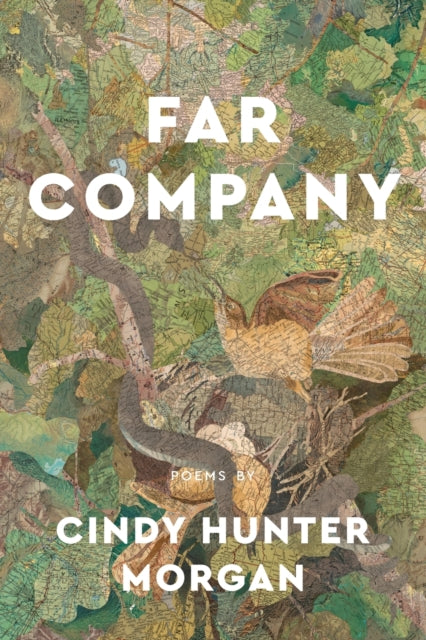 Far Company: Poems by Cindy Hunter Morgan