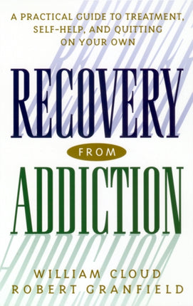 Recovery from Addiction  A Practical Guide to