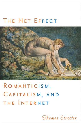 The Net Effect  Romanticism Capitalism and the Internet