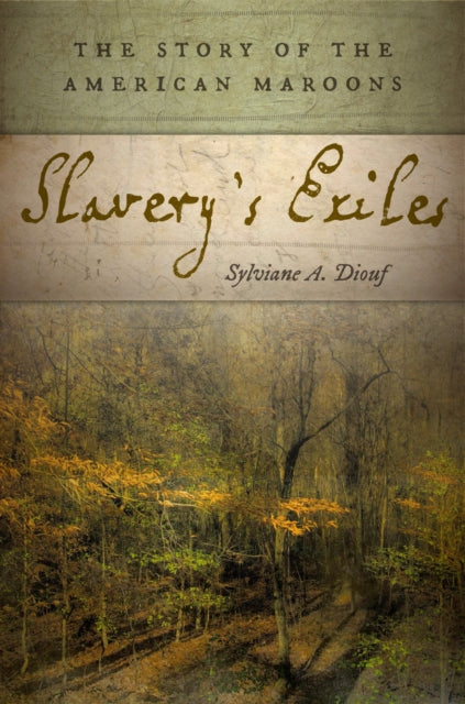 Slavery's Exiles: The Story of the American Maroons