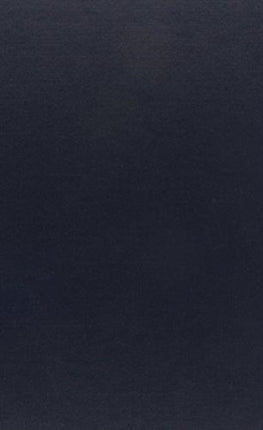 Abolitionism and American law