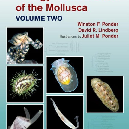 Biology and Evolution of the Mollusca Volume 2