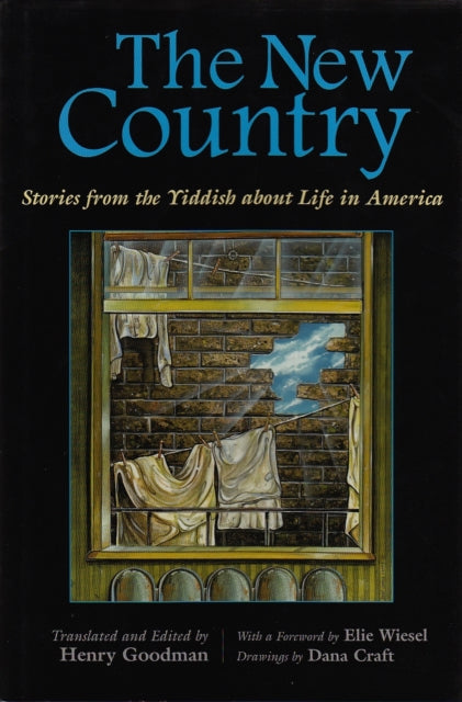 The New Country  Stories from the Yiddish about