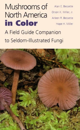 Mushrooms of North America in Color: A Field Guide Companion to Seldom-Illustrated Fungi