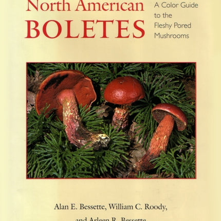North American Boletes
