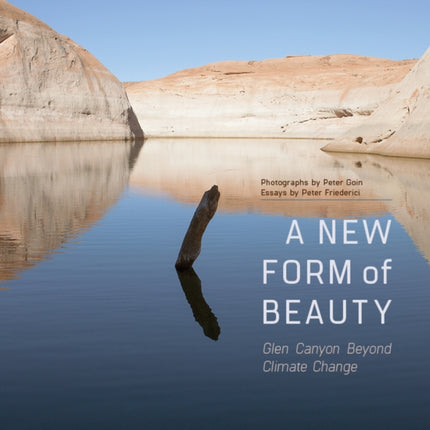 A New Form of Beauty