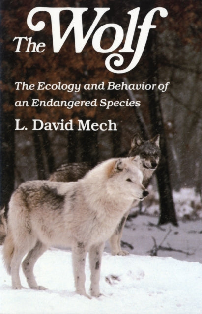 Wolf  The Ecology and Behavior of an Endangered