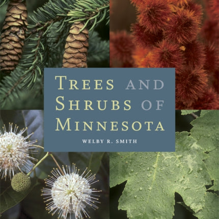 Trees and Shrubs of Minnesota
