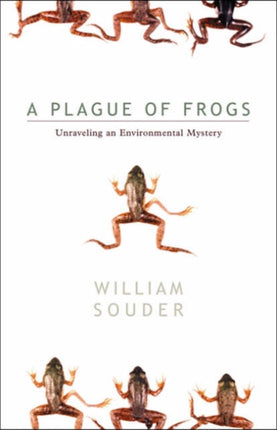 Plague Of Frogs