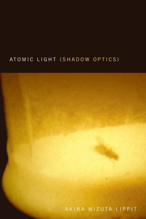 Atomic Light Shadow Optics
