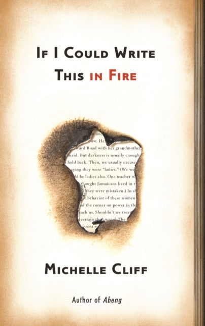 If I Could Write This in Fire