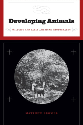 Developing Animals  Wildlife and Early American