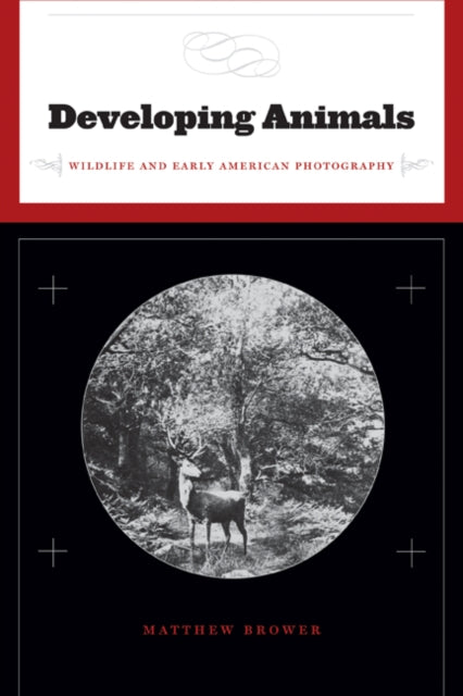 Developing Animals  Wildlife and Early American