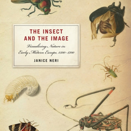 The Insect and the Image: Visualizing Nature in Early Modern Europe, 1500-1700