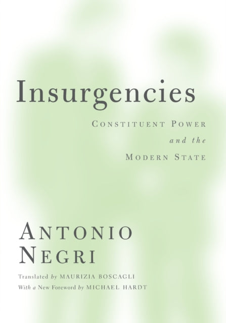 Insurgencies: Constituent Power and the Modern State