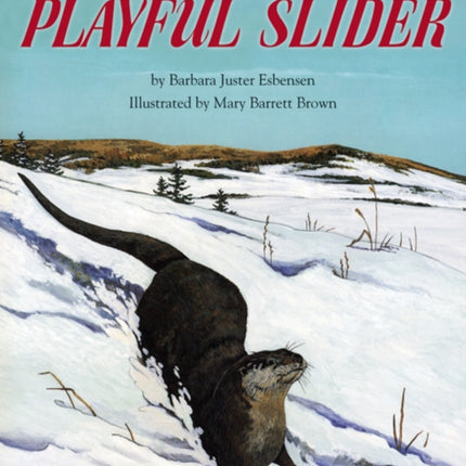 Playful Slider  The North American River Otter
