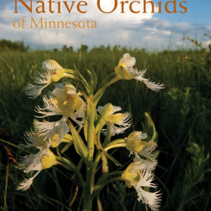 Native Orchids of Minnesota