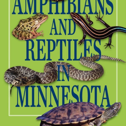 Amphibians and Reptiles in Minnesota