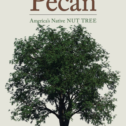 Pecan