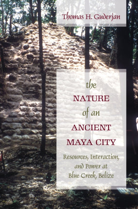 thenatureofanancientmayacityresourcesinteractionandpoweratblue