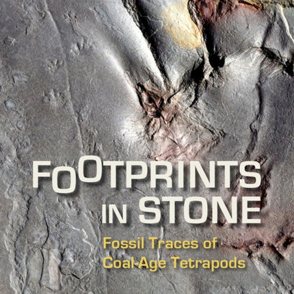 Footprints in Stone