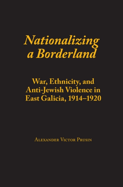 Nationalizing a Borderland War Ethnicity and AntiJewish Violence in East Galicia 19141920 Judaic Studies Series