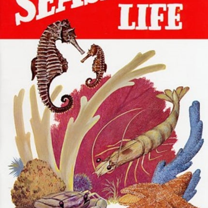 Dictionary of Seashore Life