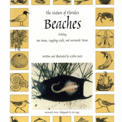 The Nature of Floridas Beaches