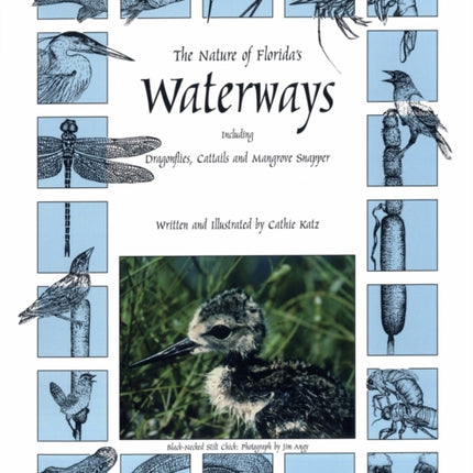 The Nature of Floridas Waterways