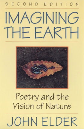 Imagining the Earth  Poetry and the Vision of