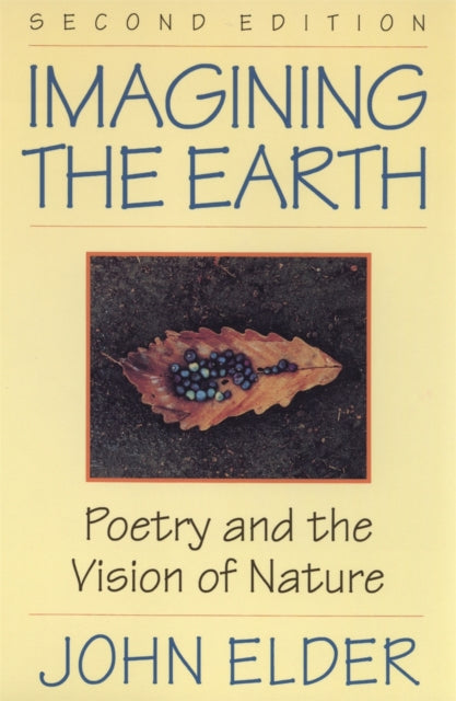 Imagining the Earth  Poetry and the Vision of